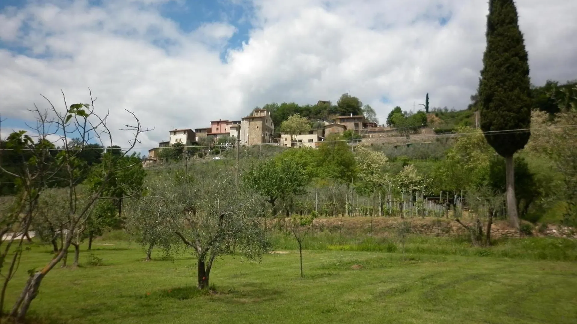Azienda Agricola Lo Zolfino Penna Apartment